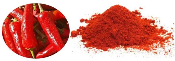 Organic Paprika Powder