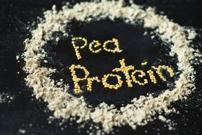 Proteïna PEA en pols contra sèrum: Què és millor?