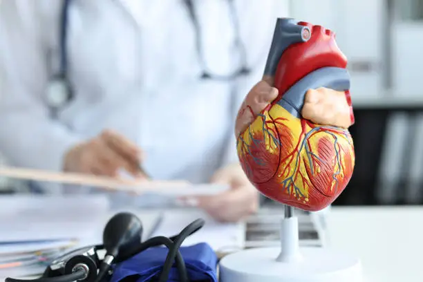 Quin efecte tenen els esterols de pi en el sistema cardiovascular