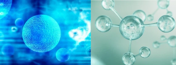 info-570-212 info-570-212