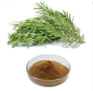 Extracte de romaní en pols